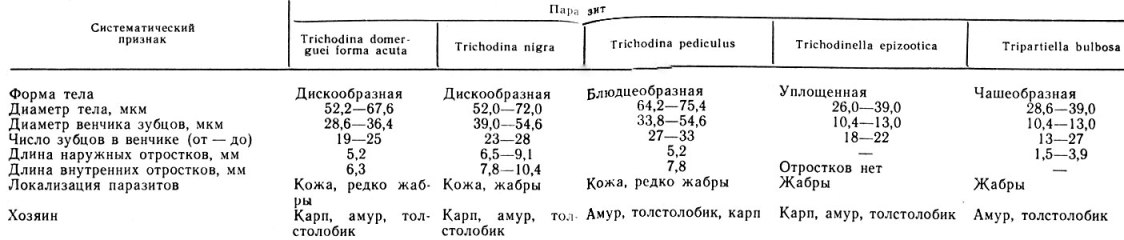 Таблица 16. Основные систематические признаки для определения триходин прудовых рыб (по Н. С. Ивановой)