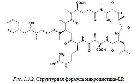 Рис. 1.3.2. Структурная формула микроцистина-LR