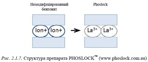 Рис. 2.1.7. Структура препарата PHOSLOCK™ (www.phoslock.com.au)