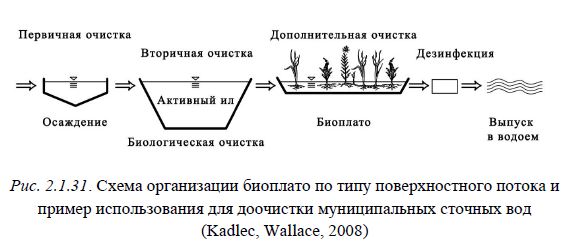 Рис. 2.1.31. Схема организации биоплато по типу поверхностного потока и пример использования для доочистки муниципальных сточных вод