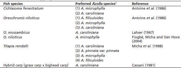 Preference of Azolla spp. by different fish species