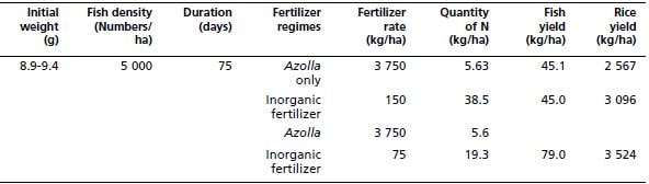 Use of A. microphylla as fertilizer in rice-fish culture system- fish species (O. niloticus)