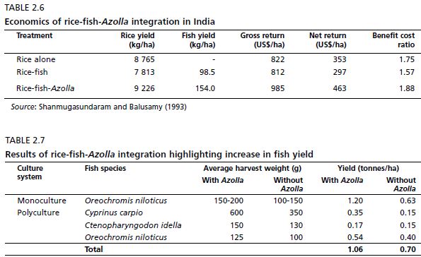 Economics of rice-fish-Azolla integration in India