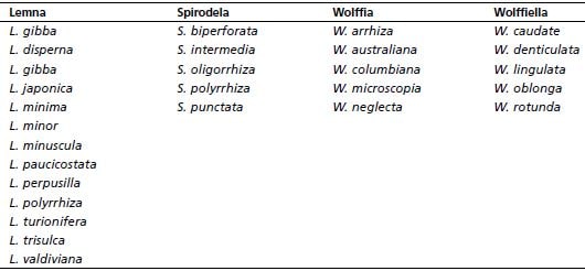 Classification of selected species of duckweeds