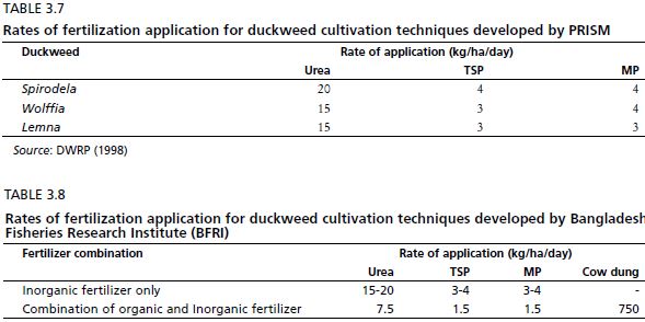 Rates of fertilization application for duckweed cultivation techniques developed by PRISM Duckweed Rate of application (kg/ha/day)
