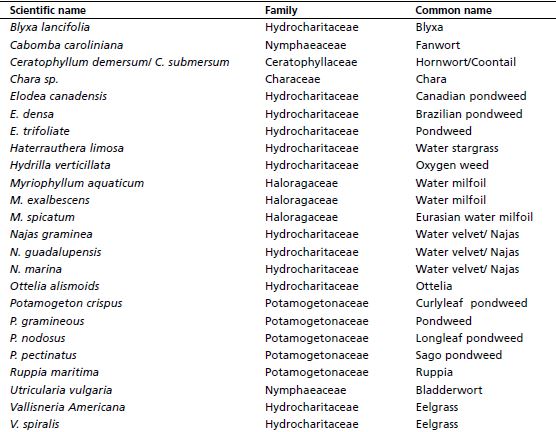 Common and scientific names of various submerged aquatic macrophytes used as fish feed