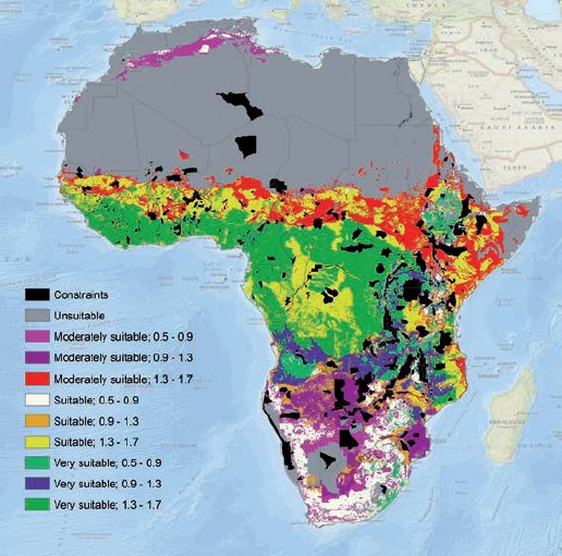 Suitability for small-scale farming and potential yield (crops/year) of Nile tilapia in Africa
