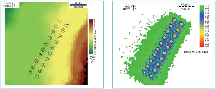 Output from a particulate waste distribution model developed for fish culture in Huangdun Bay, China, using GIS, which provides a footprint of organic enrichment beneath fish farms