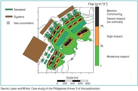 Output from a particulate waste distribution model (TROPOMOD) developed for fish cage culture, which provides a footprint of organic enrichment beneath clusters of fish farms (Panabo Mariculture Park, the Philippines)