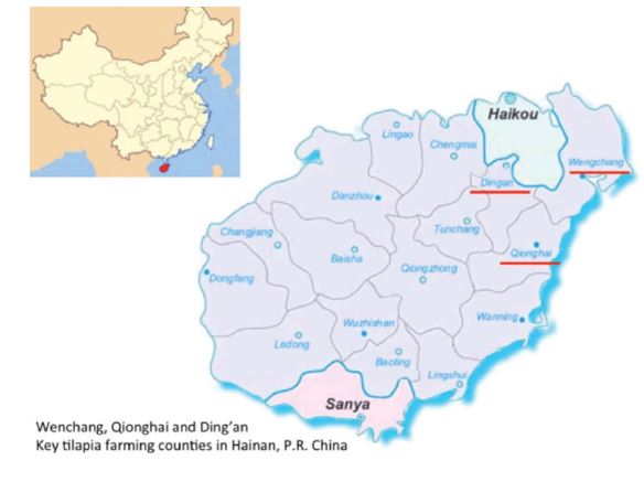 Location of Hainan province within P.R. China and location of main producing counties within Hainan.