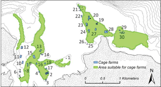 Suitable areas for marine finfish farming and location of farms in Pegametan Bay in 2015.