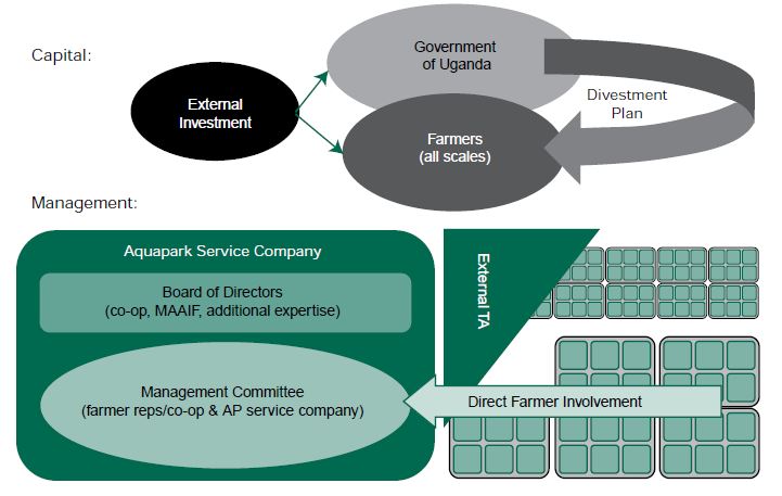 Proposed Aquaculture Park company structure (MAAIF/EU, 2013).