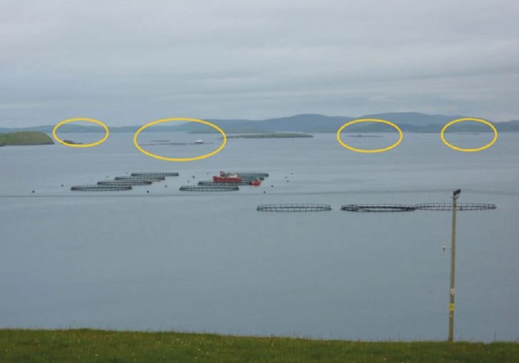 Example of a farm with 4 neighbours from southeast Shetland’s DMA 3a (Photo Sonia Duguid)