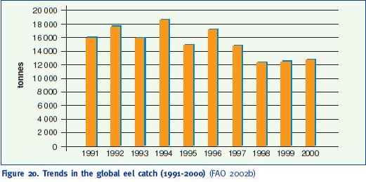 Trends in the global eel catch (1991-2000) (FAO 2002b)