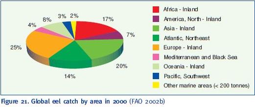 Global eel catch by area in 2000 (FAO 2002b)