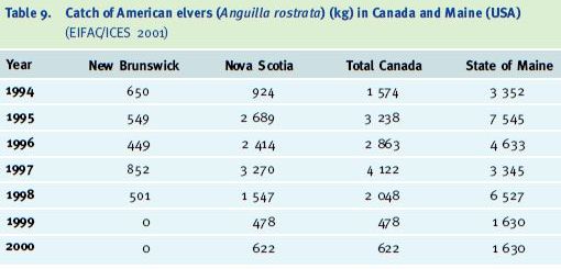 Catch of American elvers (Anguilla rostrata) (kg) in Canada and Maine (USA) (EIFAC/ICES 2001)