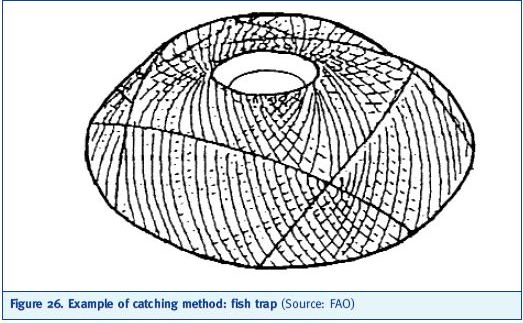 Example of catching method: fish trap (Source: FAO)