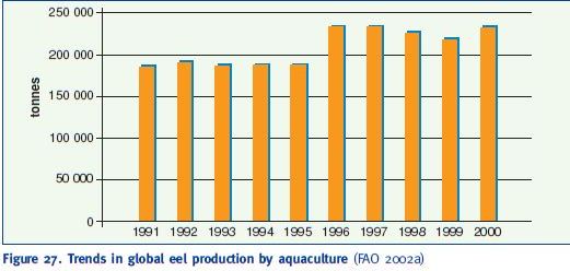 Trends in global eel production by aquaculture (FAO 2002a)