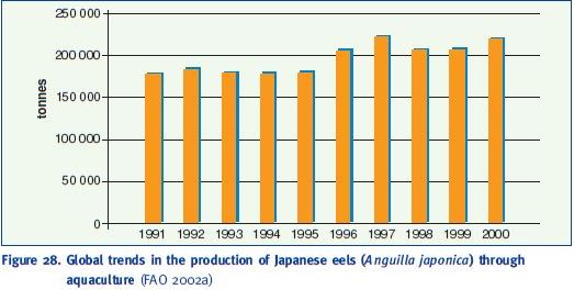 Global trends in the production of Japanese eels (Anguilla japonica) through aquaculture (FAO 2002a)