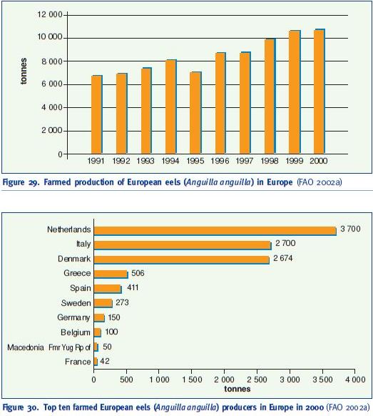 Farmed production of European eels (Anguilla anguilla) in Europe (FAO 2002a)