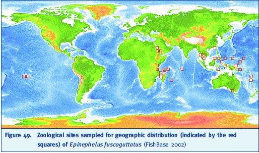 Zoological sites sampled for geographic distribution (indicated by the red squares) of Epinephelus fuscoguttatus (FishBase 2002)