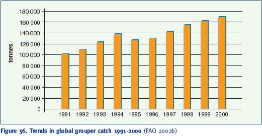 Trends in global grouper catch 1991-2000 (FAO 2002b)