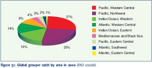 Global grouper catch by area in 2000 (FAO 2002b)