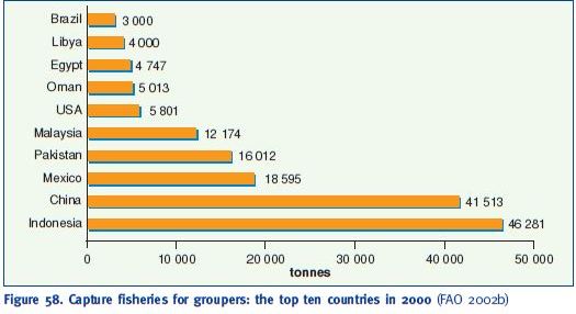 Capture fisheries for groupers: the top ten countries in 2000 (FAO 2002b)