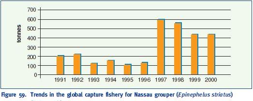 Trends in the global capture fishery for Nassau grouper (Epinephelus striatus) (FAO 2002b)