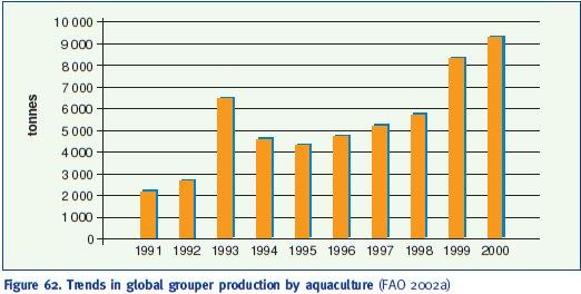 Trends in global grouper production by aquaculture (FAO 2002a)