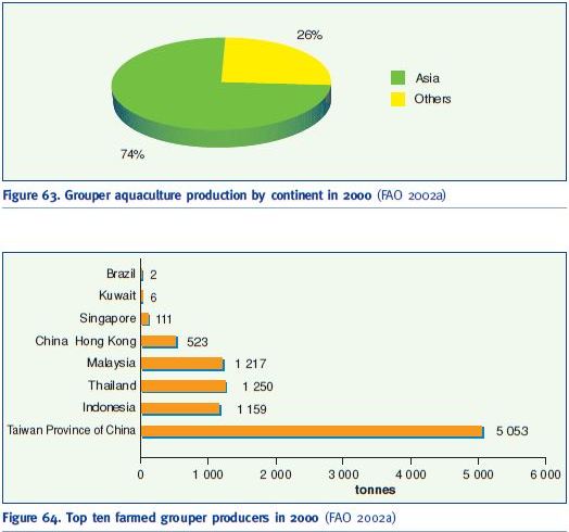 Grouper aquaculture production by continent in 2000 (FAO 2002a)