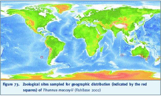 Zoological sites sampled for geographic distribution (indicated by the red squares) of Thunnus maccoyii (FishBase 2002)