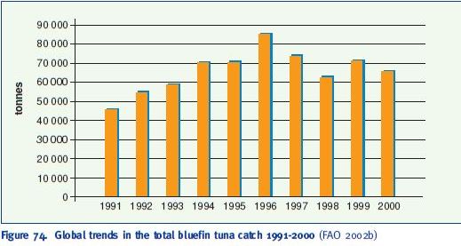 Global trends in the total bluefin tuna catch 1991-2000 (FAO 2002b)