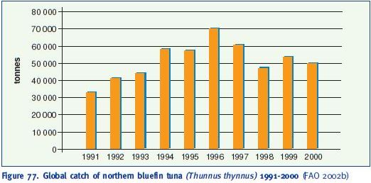 Global catch of northern bluefin tuna (Thunnus thynnus) 1991-2000 (FAO 2002b)
