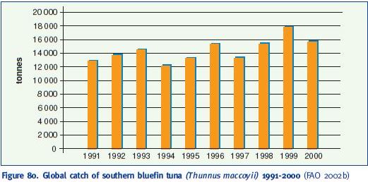 Global catch of southern bluefin tuna (Thunnus maccoyii) 1991-2000 (FAO 2002b)