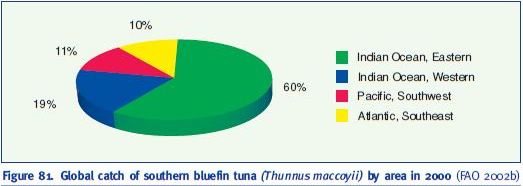 Global catch of southern bluefin tuna (Thunnus maccoyii) by area in 2000 (FAO 2002b)