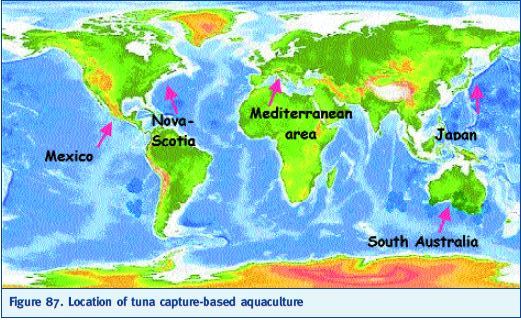 Location of tuna capture-based aquaculture