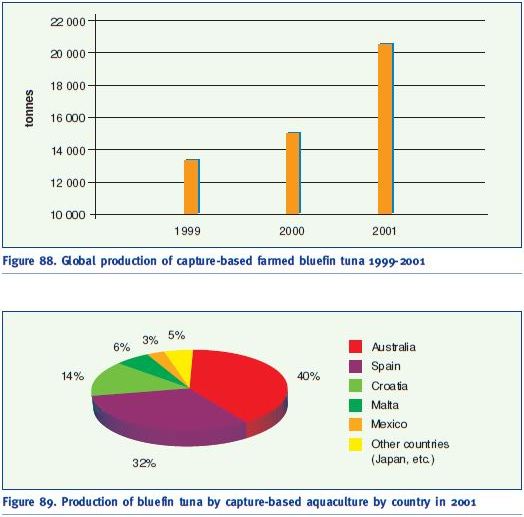 Global production of capture-based farmed bluefin tuna 1999-2001
