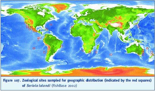 Zoological sites sampled for geographic distribution (indicated by the red squares) of Seriola lalandi (FishBase 2002)