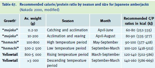 Recommended calorie/protein ratio by season and size for Japanese amberjacks (Nakada 2000, modified)