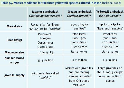 Market conditions for the three yellowtail species cultured in Japan (Nakada 2000)