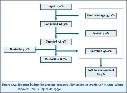 Nitrogen budget for areolate groupers (Ephinephelus areolatus) in cage culture (derived from Leung et al. 1999)