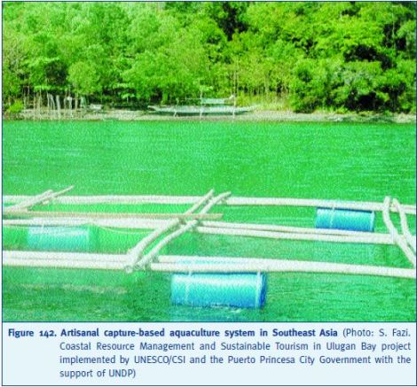 Artisanal capture-based aquaculture system in Southeast Asia (Photo: S. Fazi. Coastal Resource Management and Sustainable 