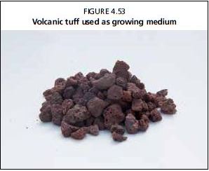 Volcanic tuff used as growing medium 