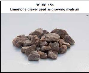 Limestone gravel used as growing medium 