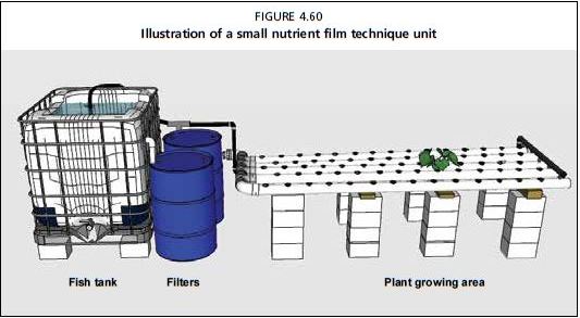 Illustration of a small nutrient film technique unit