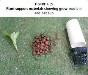 Plant support materials showing grow medium and net cup
