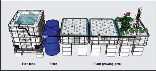Illustration of a small deep water culture unit using standalone filtration 