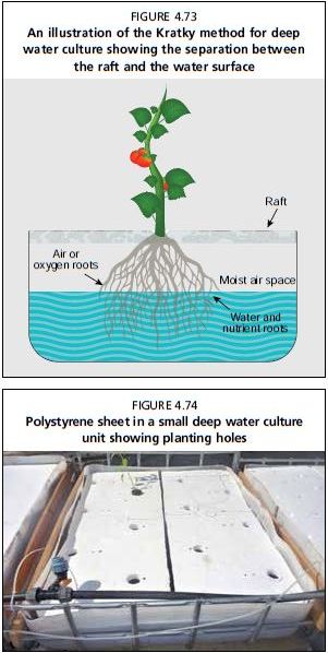 Polystyrene sheet in a small deep water culture unit showing planting holes