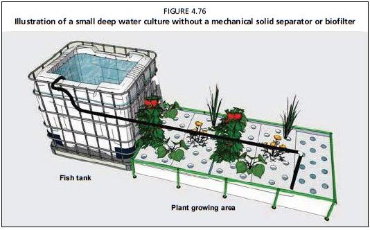 Illustration of a small deep water culture without a mechanical solid separator or biofilter